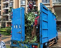 �G�������b܇���I